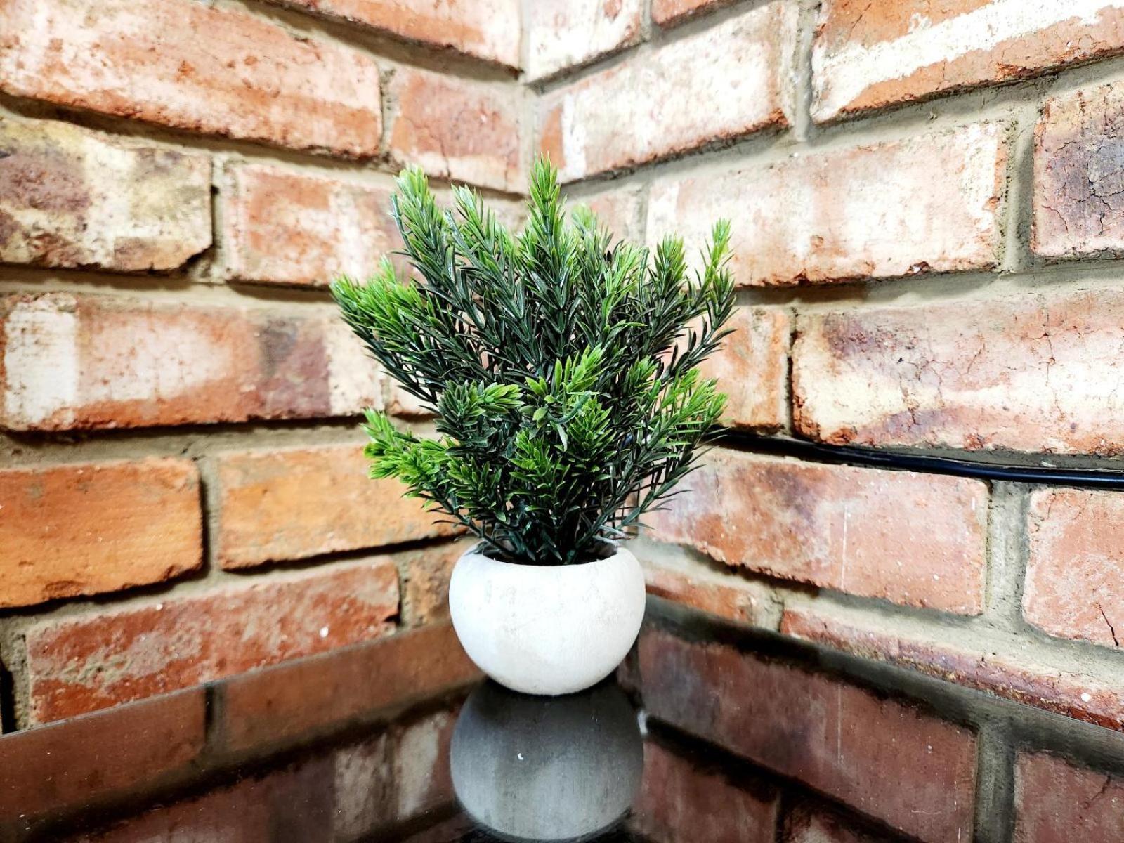 Aloe Guesthouse Klerksdorp Cameră foto